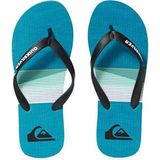 Quiksilver Molokai Seasons Erkek Terlik AQYL100940-XKBK - Renkli