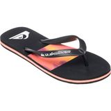 Quiksilver Molokai Stripe 25 Erkek Terlik - Renkli