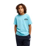 Quiksilver Palm Horizon Erkek Çocuk Mavi Tişört