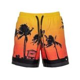 Quiksilver Pardsvly17 M Jamv Erkek Deniz Şortu