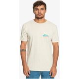 Quiksilver Pastimeparadise Erkek Bej Tişört