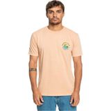 Quiksilver Qsbubblestamp Erkek Tişört - Çok Renkli