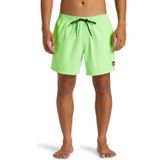Quiksilver Quıksılver EVERYDAY SOLID VOLLEY 15 Erkek Şort AQYJV03153-QK.GGY0 Yeşil XS