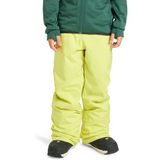 Quiksilver Sarı Erkek Çocuk Kayak Pantolonu EQBTP03059-ESTATE YOUTH PT