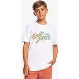 Quiksilver Signaturemove B Erkek Çocuk Tişört - Beyaz - 10 Yaş