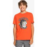 Quiksilver Skull Trooper Yth Erkek Çocuk Turuncu Tişört - Karışık