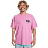 Quiksilver Spin Cycle Pembe T-Shirt, S, EQYZT07653, Mavi, Erkek