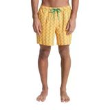 Quiksilver Stretch Printed Erkek Sarı Erkek Deniz Şortu Eqyjv04217