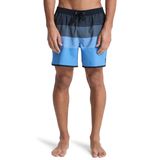 Quiksilver STRETCH SCALLOP Çok Renkli Erkek Şort Mayo