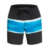 Quiksilver Surfsilk Air-brush Volley 17nb sörf şortu Erkek