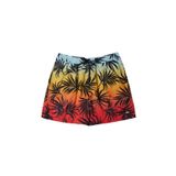 Quiksilver Turuncu Erkek Şort Mayo AQYJV03147_EVERYDAY MIX VOLLEY 15