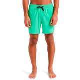 Quiksilver Yaz Yeşili Yüzme Şortu XL Beden