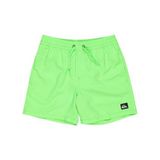 Quiksilver Yeşil Erkek Çocuk Şort Mayo EQBJV03517-EVERYDAY SOLID VOLLEY YT