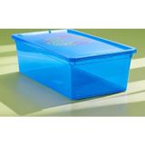 QUTU Light Box Transparent Mavi - 5 Litre Ayakkabı ve Saklama Kutusu