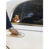 Quun Çılgın Kediler Yapışkanlı Sticker 13 - Araba, Laptop, Macbook, İpad, Tablet