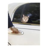 Quun Çılgın Kediler Yapışkanlı Sticker 15 - Araba, Laptop, Macbook, İpad, Tablet