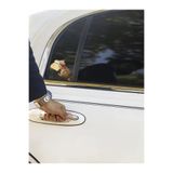 Quun Çılgın Kediler Yapışkanlı Sticker 19 - Araba, Laptop, Macbook, İpad, Tablet