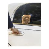 Quun Çılgın Kediler Yapışkanlı Sticker 4 - Araba, Laptop, Macbook, İpad, Tablet