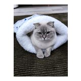 Quun Kedi Köpek Uyku Tulumu Yatak Yetişkin Kedi Beyaz Velsoft Şık Tasarım Box