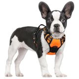 rabbitgoo Köpek koşum takımı, orta büyüklükte, köpek, çekmez, ayarlanabilir, köpek koşum takımı, büyük köpekler, nefes alır, yansıtıcı şeritler, göğüs koşum takımı, köpek, güvenli kılavuz, turuncu, S