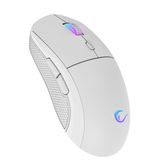 Radiant M1 Rgb Mouse Makrolu 7200 Dpi Oyuncu Mouse Gaming Mouse Orgu Kablo E-Spor Mouse Profesyonel