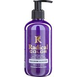 Radical Color New 25/blueberry Amonyaksız Su Bazlı Saç Boyası 250 ml 1 Adet Yaban Mersini - Renk Kodu