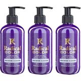 Radical Color New 25/blueberry Amonyaksız Su Bazlı Saç Boyası 250 ml 3 Adet Yaban Mersini - Renk Kodu