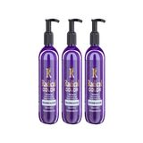 Radical Color New 25/Blueberry Amonyaksız Su Bazlı Saç Boyası 250 Ml 3 Adet Yaban Mersini