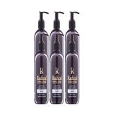 Radical Color New 25/Grey Amonyaksız Su Bazlı Saç Boyası 250 Ml 6 Adet Gri