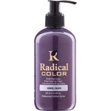 Radical Color New 25/silver Amonyaksız Su Bazlı Saç Boyası 250 ml 1 Adet Gümüş - Renk Kodu