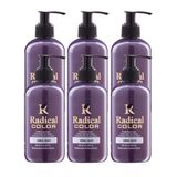Radical Color New 25/Silver Amonyaksız Su Bazlı Saç Boyası 250 Ml 6 Adet Gümüş