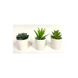 RAF Store Fejka Kaktüs 3 Lü Set 6 Cm Yapay Bitki Çiçek Saksılı Kaktüs