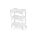 Rafty Geniş 3 Katli Tekerlekli Sepet Organizer Düzenleyici Raf Ünitesi 352X220x480mm (5047)