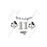 Rafya İpli 11 Yaş Gümüş Folyo Balon İyiki Doğdun Yazılı Banner Balon Set Doğum Günü