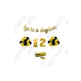 Rafya İpli 12 Yaş Gold Folyo Balon İyiki Doğdun Yazılı Banner Balon Set Doğum Günü