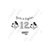 Rafya İpli 12 Yaş Gümüş Folyo Balon İyiki Doğdun Yazılı Banner Balon Set Doğum Günü