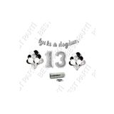 Rafya İpli 13 Yaş Gümüş Folyo Balon İyiki Doğdun Yazılı Banner Balon Set Doğum Günü