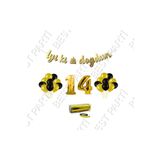 Rafya İpli 14 Yaş Gold Folyo Balon İyiki Doğdun Yazılı Banner Balon Set Doğum Günü