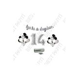 Rafya İpli 14 Yaş Gümüş Folyo Balon İyiki Doğdun Yazılı Banner Balon Set Doğum Günü