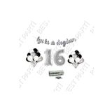 Rafya Ipli 16 Yaş Gümüş Folyo Balon Iyiki Doğdun Yazılı Banner Balon Set Doğum Günü