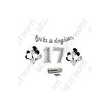 Rafya Ipli 17 Yaş Gümüş Folyo Balon Iyiki Doğdun Yazılı Banner Balon Set Doğum Günü
