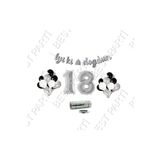 Rafya İpli 18 Yaş Gümüş Folyo Balon İyiki Doğdun Yazılı Banner Balon Set Doğum Günü