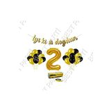 Rafya Ipli 2 Yaş Gold Folyo Balon Iyiki Doğdun Yazılı Banner Balon Set Doğum Günü