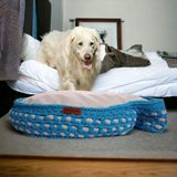 Rahat ve Şık 60X38 cm Kedi ve Köpek Yatağı, Konfor Dolu Uyku Alanı