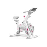Raiden PB-01 Beyaz Koşu Kondisyon Bisikleti Spin Bike Dikey Egzersiz Ev Koşu Bisikleti