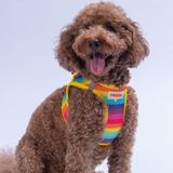 Rainbow Air-Mesh Göğüs Tasması Kedi Köpek Göğüs Tasması Gökkuşağı Desenli Köpek Tasması - Çok Renkli