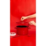 Rainpot Tencere,Flame