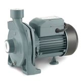 Rainpump CPM170 Santrifuj Pompa