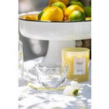 RAKLE Fiona Premium Çay Fincanı Seti - Şeffaf/Sarı Rim Kristal Cam - 2 Parça 240cc Fincan ve Tabak - Özel Tasarım - Çay Servisi