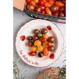 Rakle x Bengi Kurtcebe Pomodoro Stoneware 4'lü Yemek Tabağı Seti 23 cm - Kırmızı